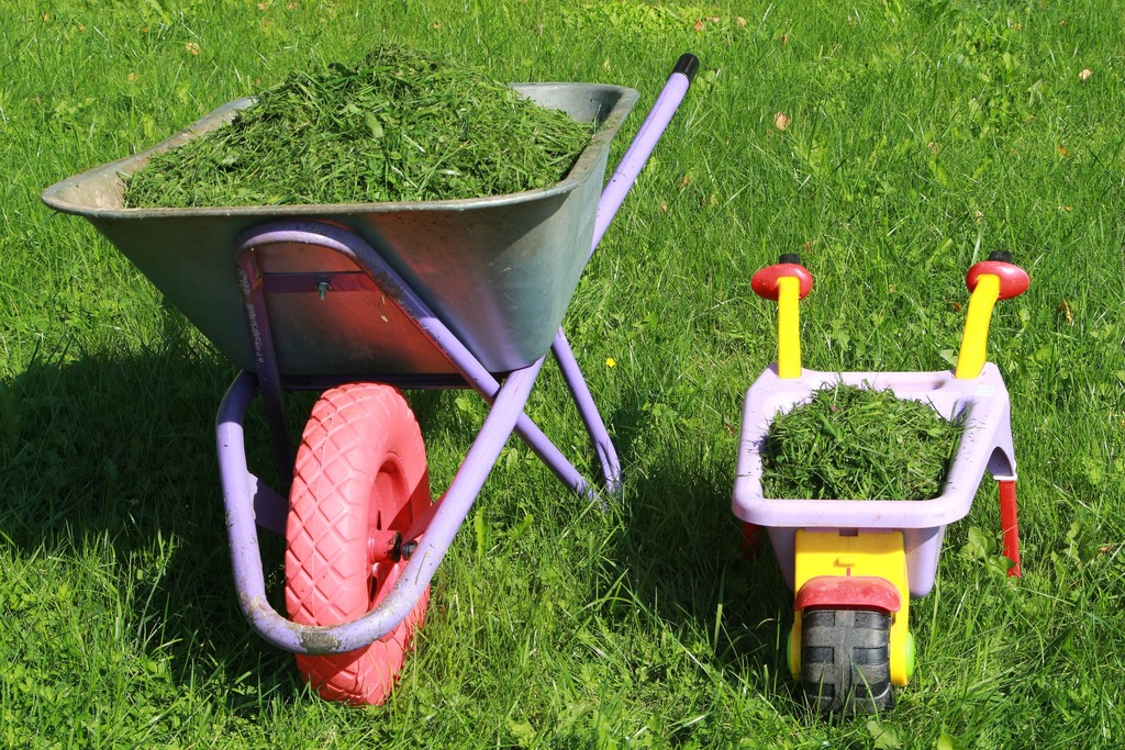 Lawn Maintenance Technician Job Description: Duties and Responsibilities
borrows with cut grass